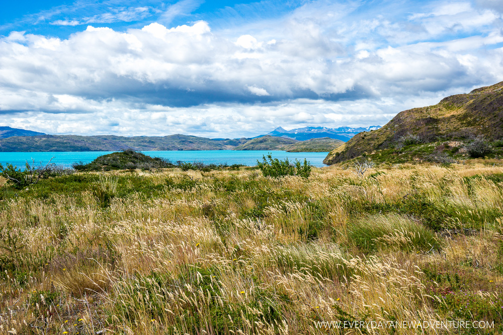 [SqSp Blog-061] Torres del Paine-05463.jpg