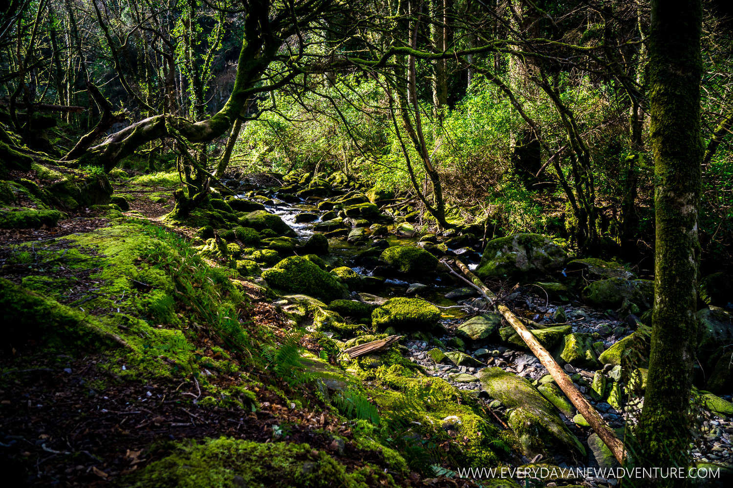 Killarney National Park, Ireland