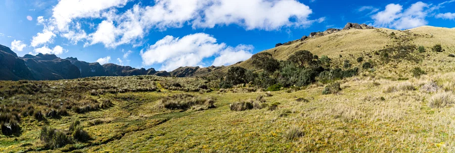 Rolling Hills in Cajas