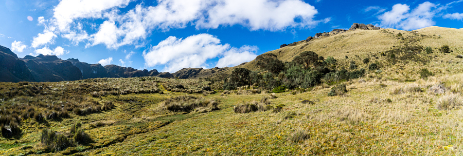 Rolling Hills in Cajas