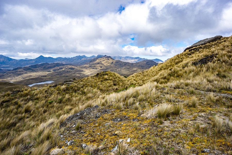 More Rolling Hills in Cajas