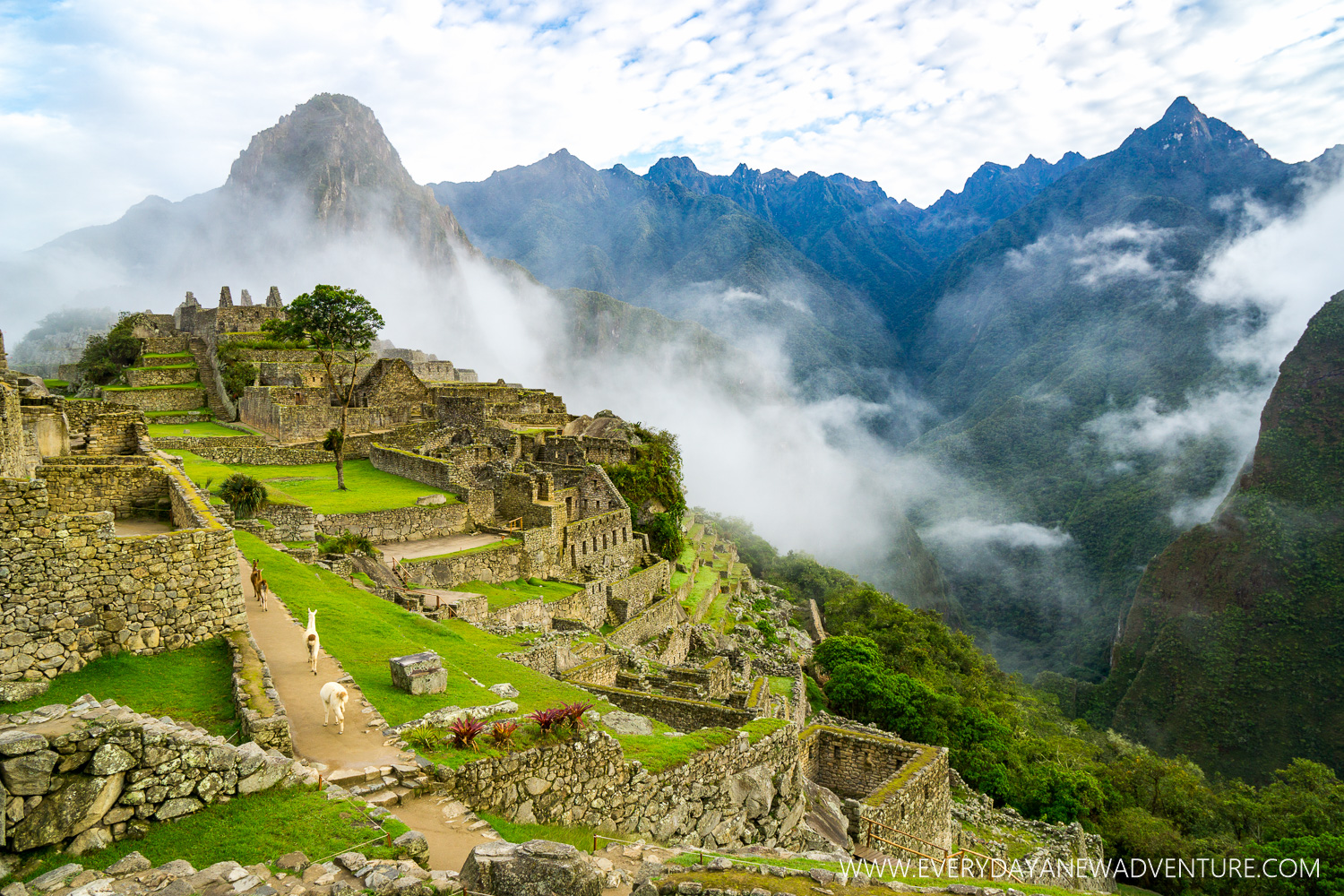 Machu Picchu, Aguas Calientes, Peru