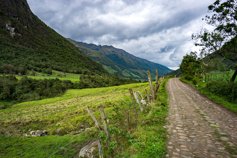 The Road Out