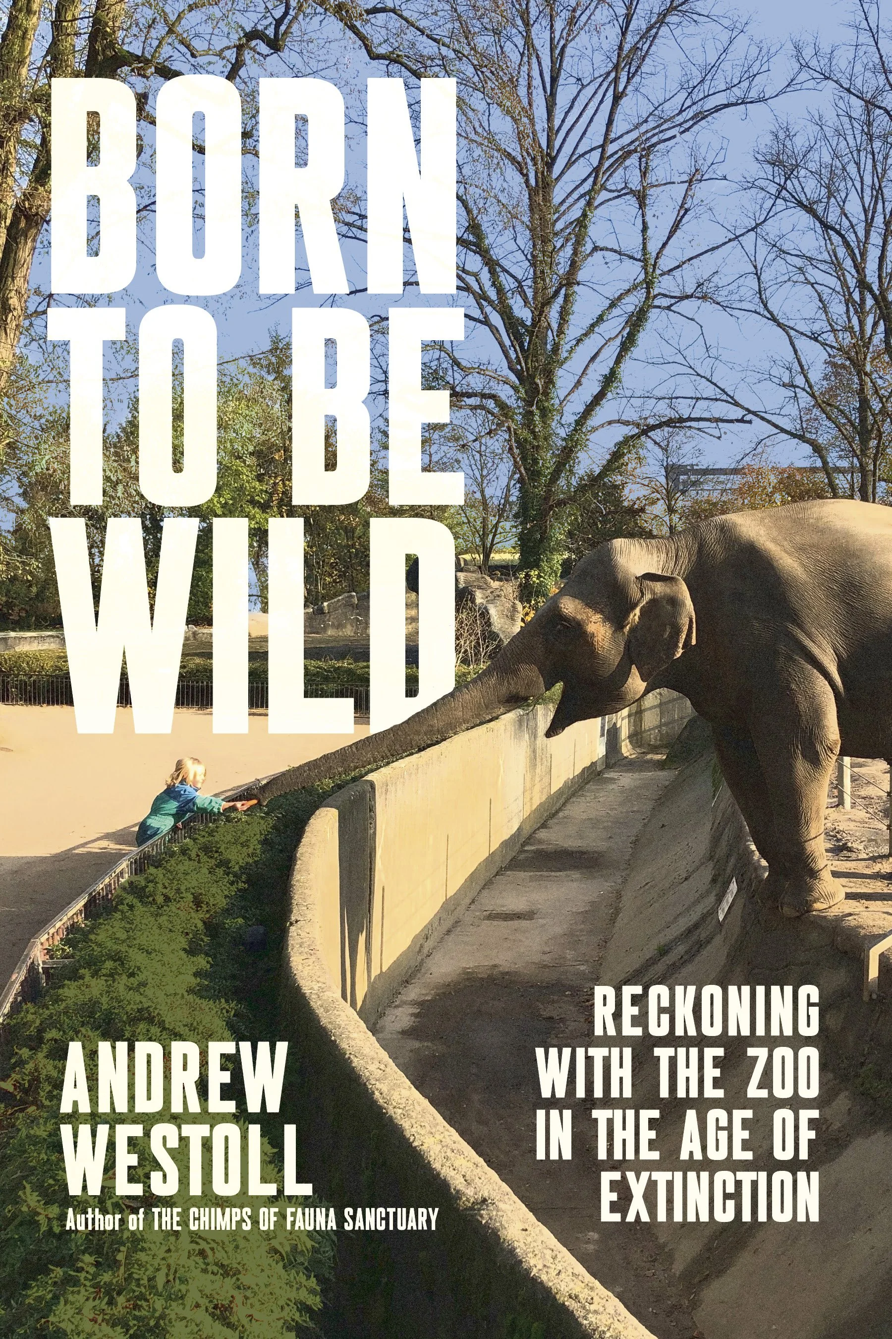 Born to be Wild
