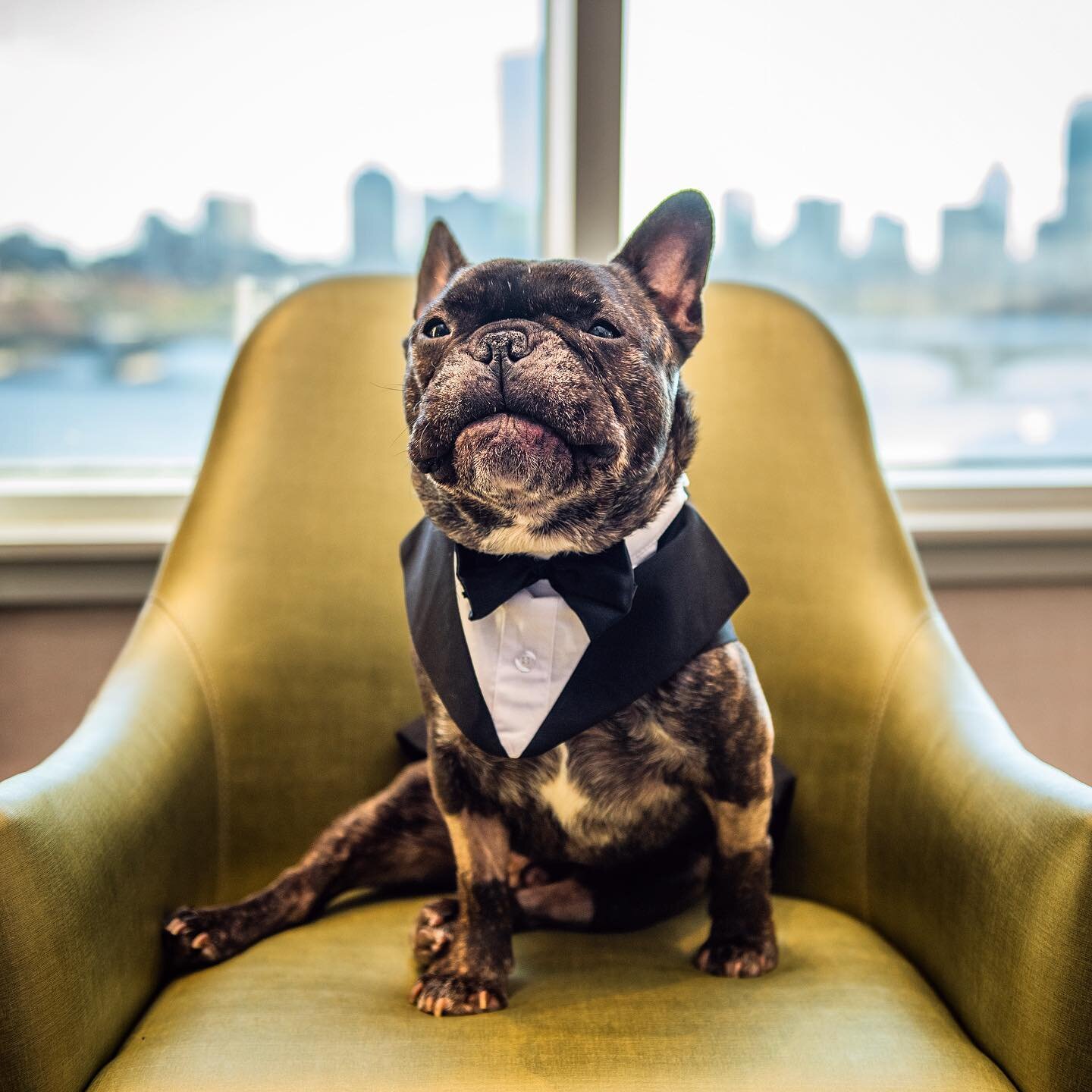 Looking dapper and ready to walk mom down the isle.

#weddingphotographer #weddinginspiration #weddingphotography #soloverly  #wedphotoinspiration #shesaidyes #bridalmusing #BostonWeddingPhotographer #weddingday #wedding #togetherweroam #authenticlov