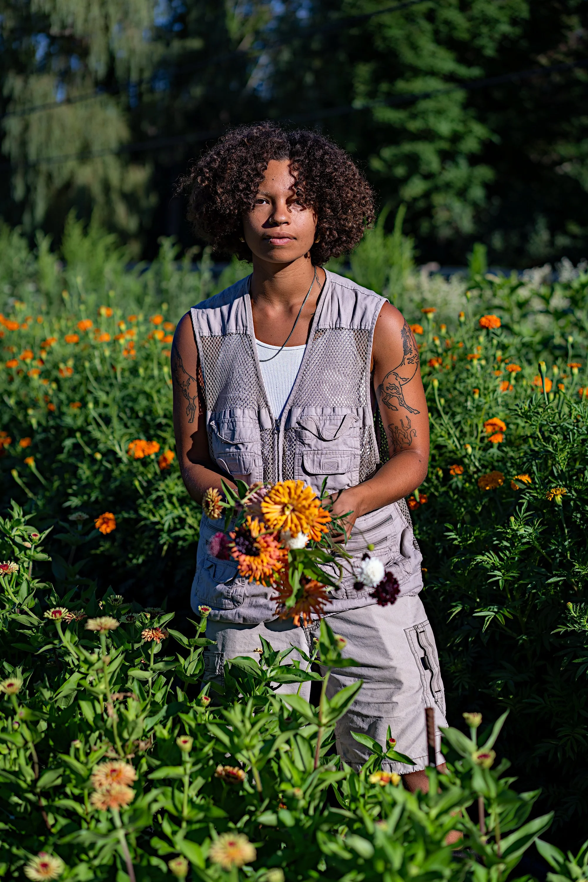 Noa, Rock Steady Farm (Millerton, NY)