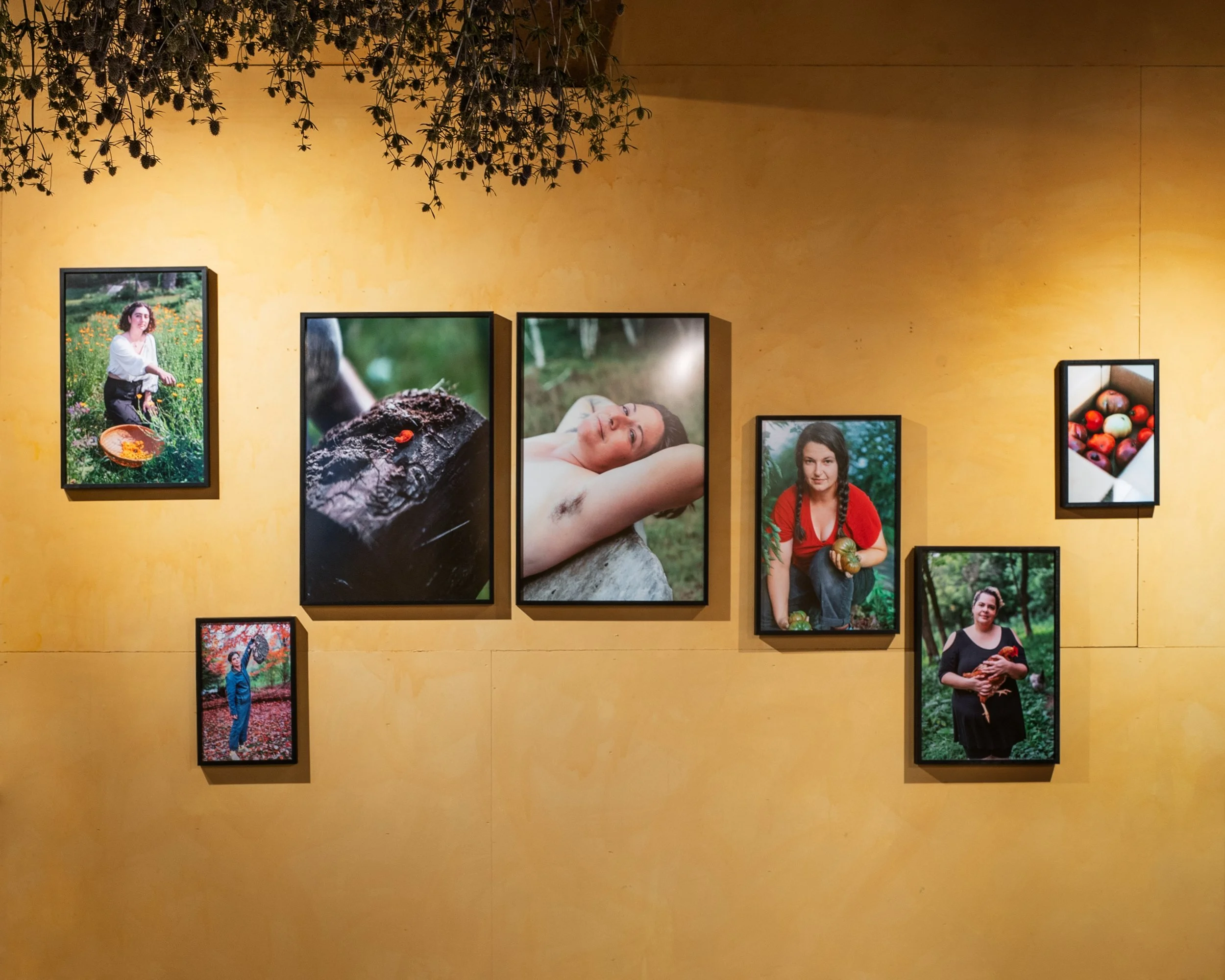 ExpandingAgricultureInstall_ArchivalPigmentPrints_Variable_UnrulyEdgesFoxtrotFarmAndFlowers_2024.jpg