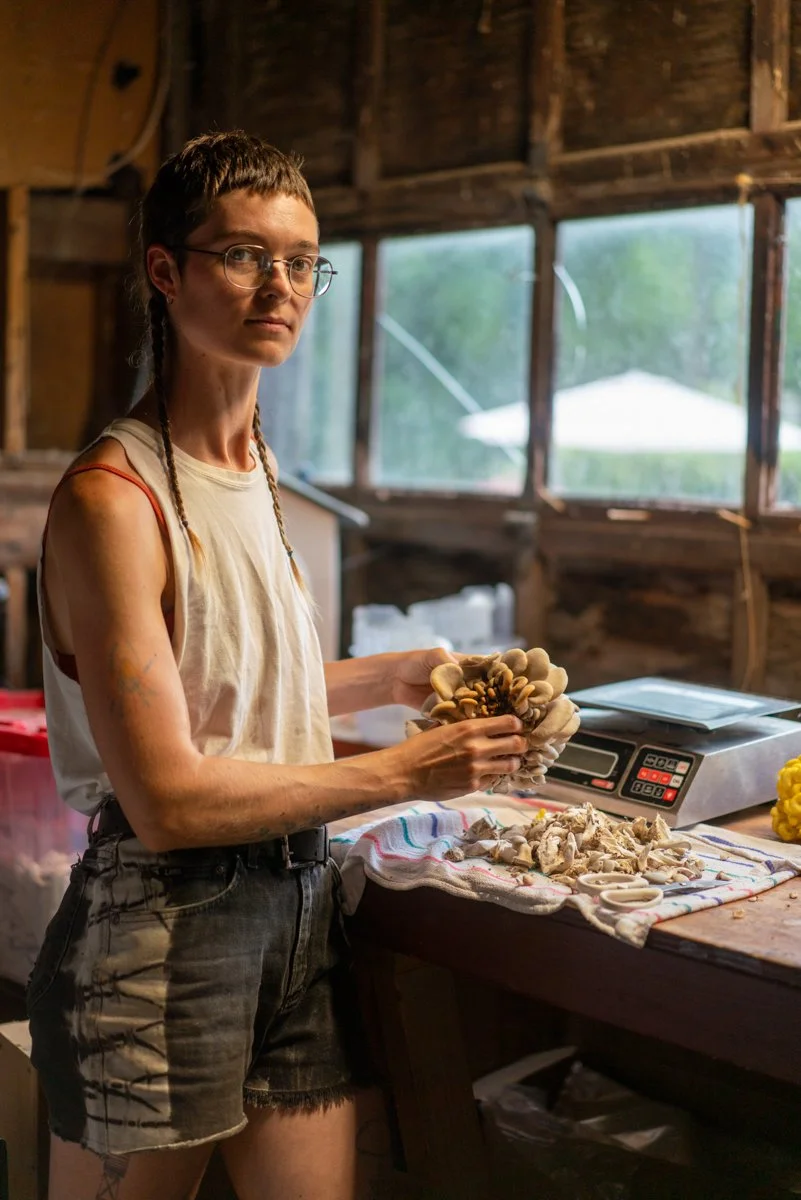 Margo, Sugar Shack Mushrooms (New Paltz, NY)