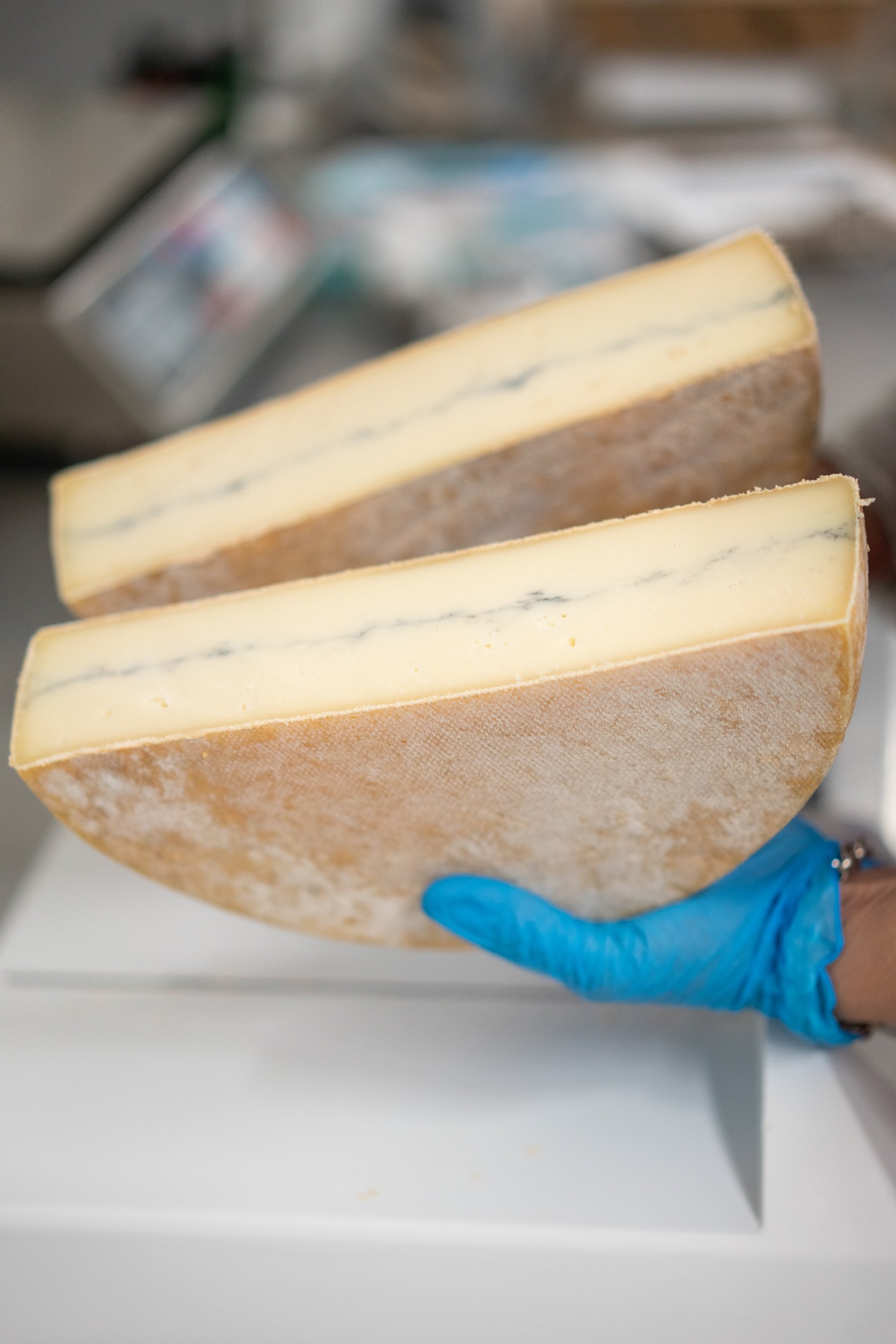Untitled, C. Hesse Cheese (Brooklyn, NY)