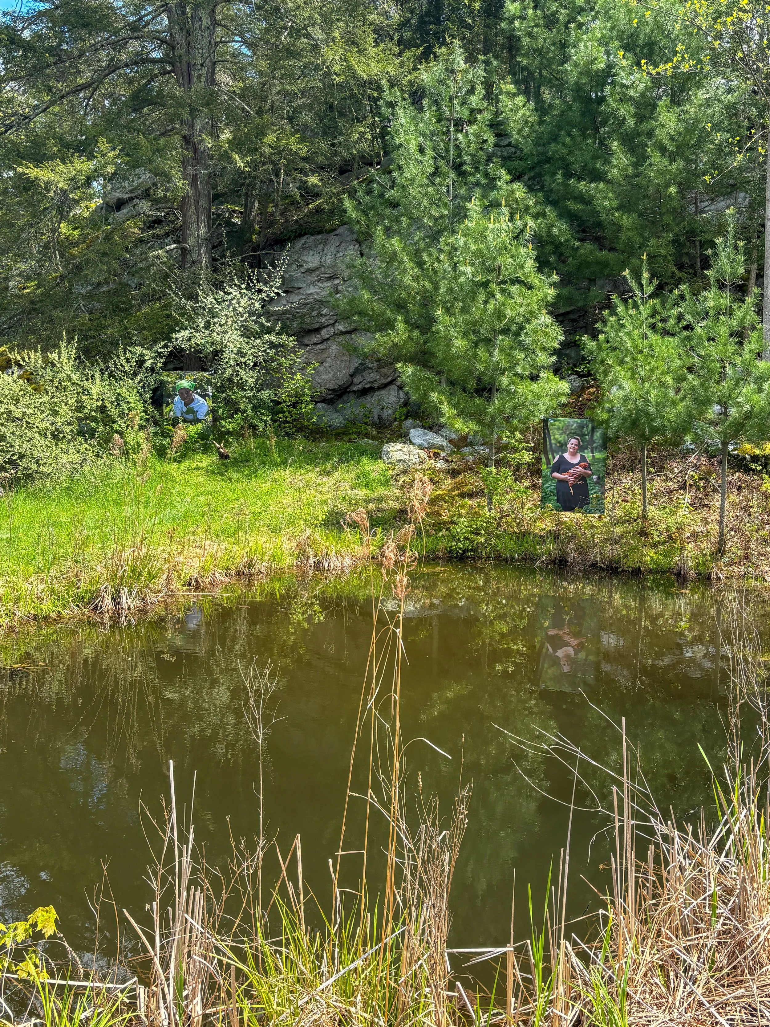 (L-R) Tolu, Rock Steady Farm (Millerton, NY) & Marjorie, Sunday Creek Sanctuary (Millfield, OH)