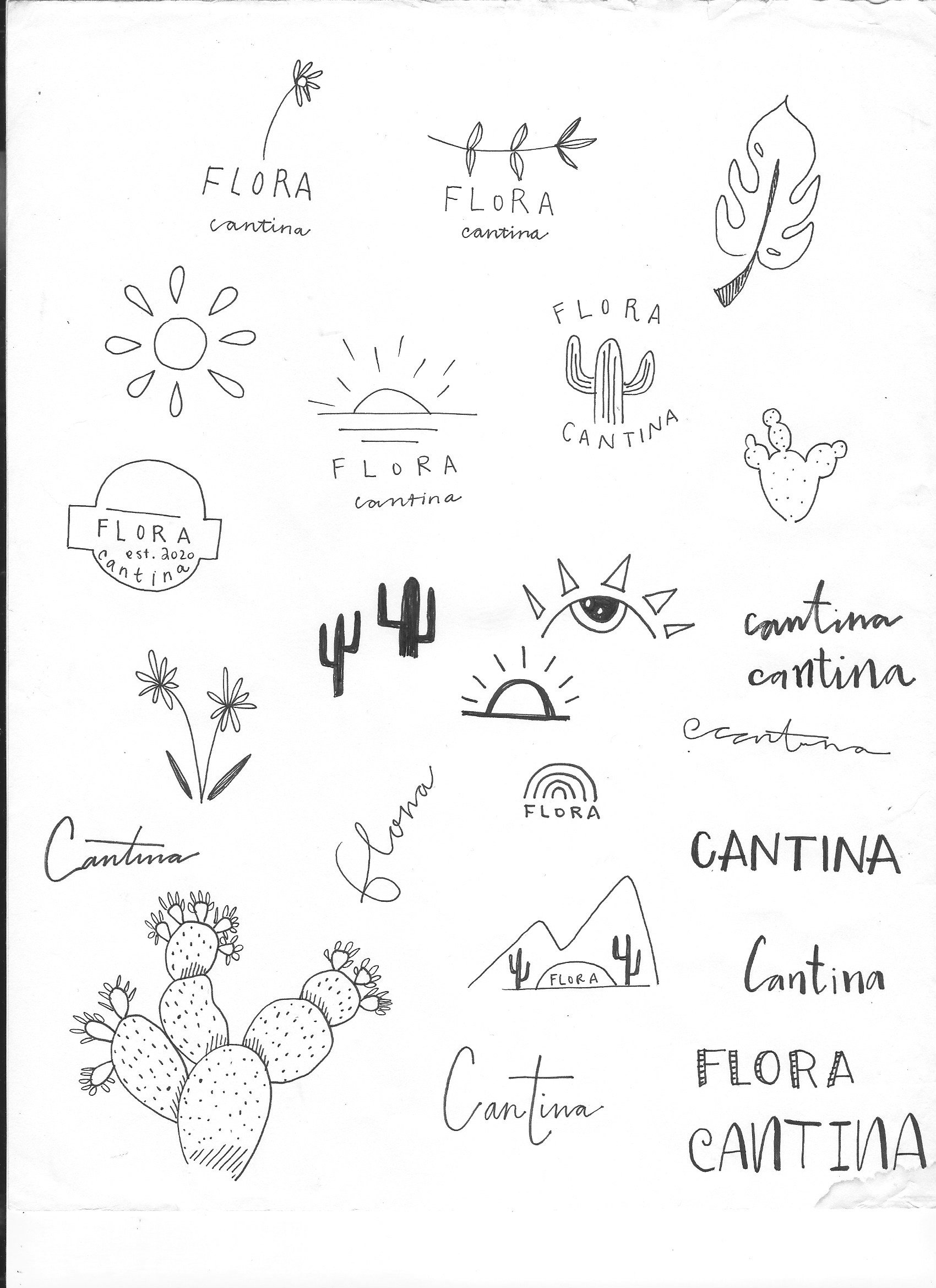Flora Sketches 4.jpg