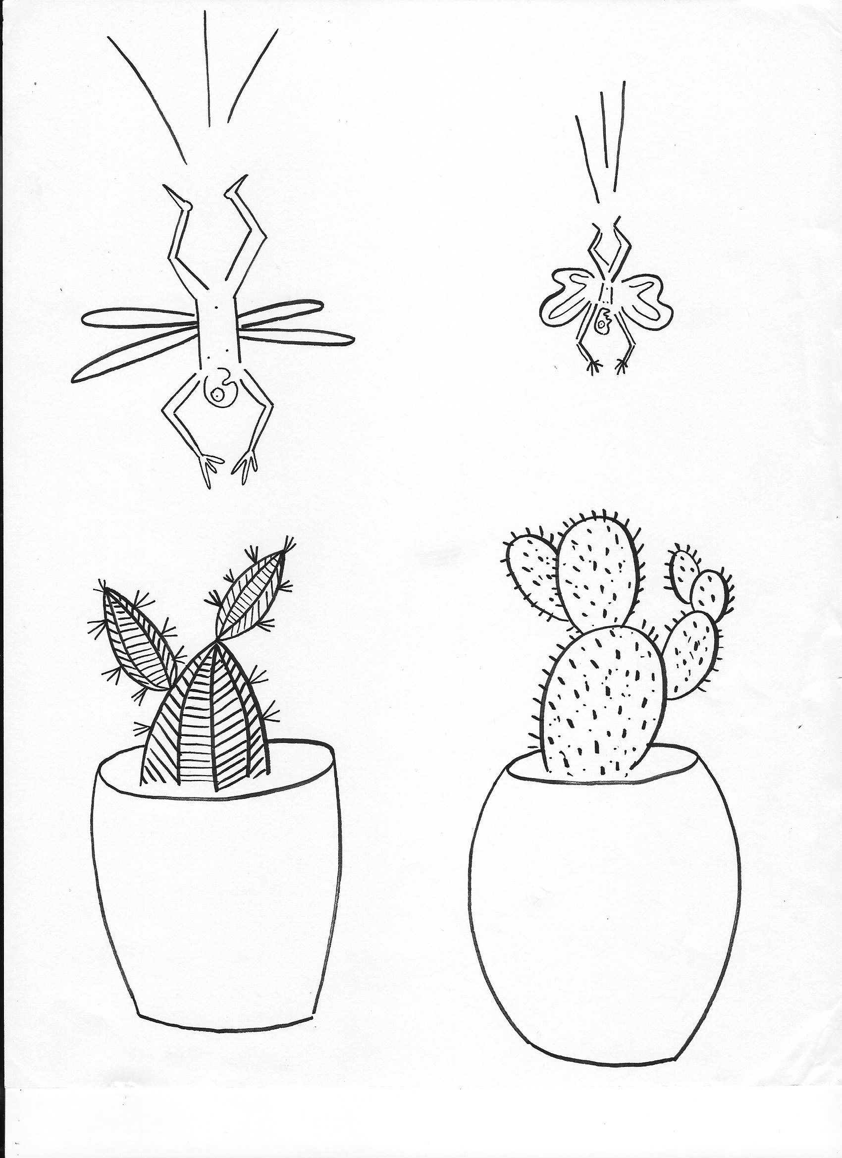 Flora Sketches 3.jpg