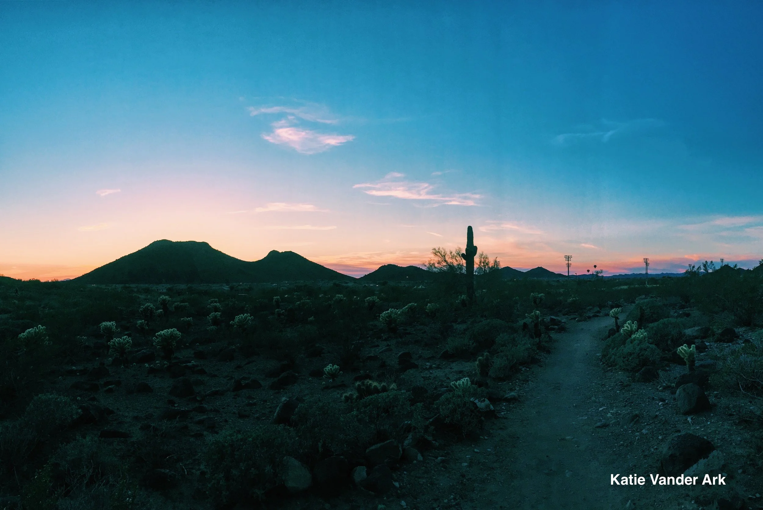 Desert Sunset.jpg