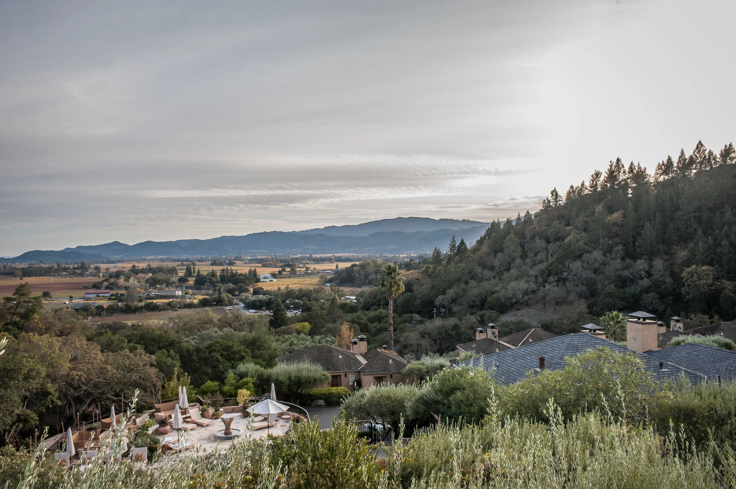 Ken Viale Photography-14.jpg