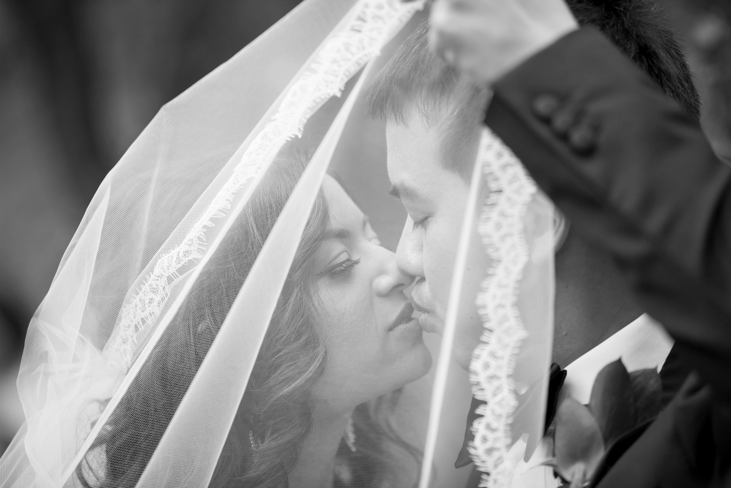 Ken Viale Photography-10.jpg