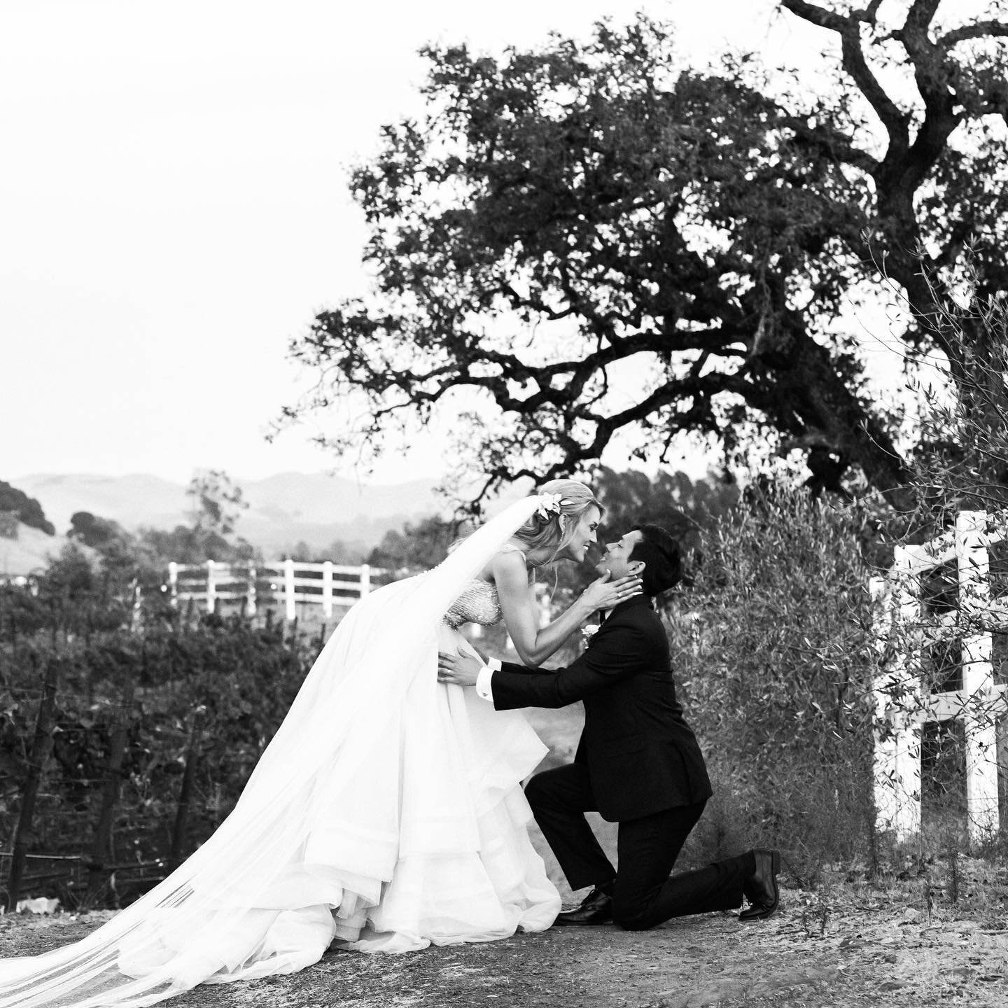 Happy Anniversary Noelle &amp; Alex 💫 #napavalleywedding #happyanniversary #kenvialephotography