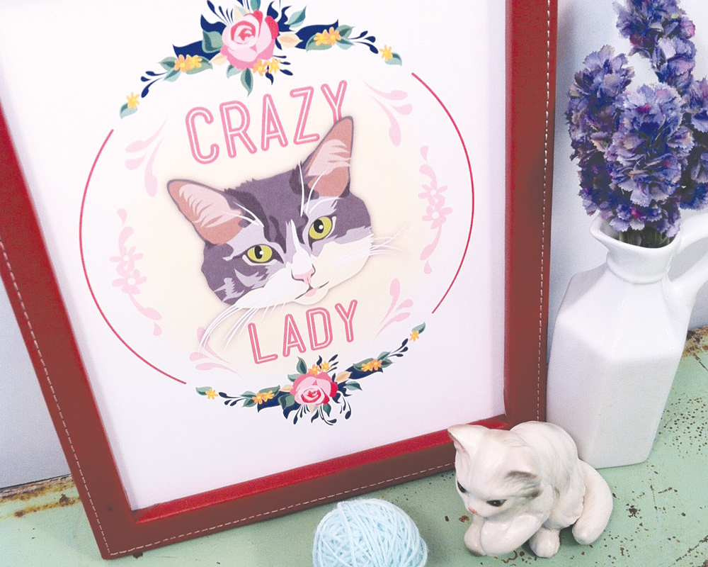 Crazy-Cat-Lady-2.jpg