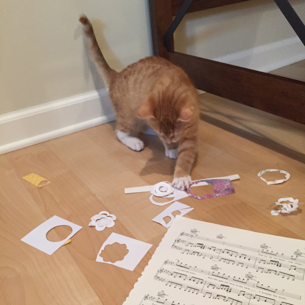Unlike me Pim LOVED being on camera and had a ton of fun with my paper scraps!