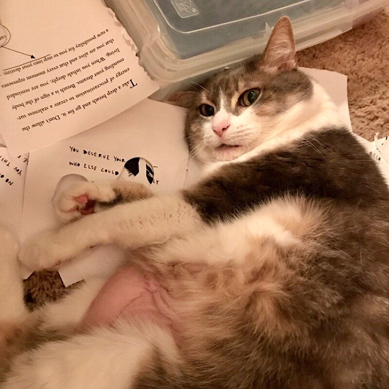 IMG_4603.jpeg
