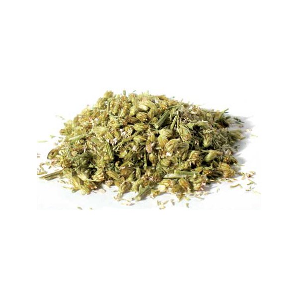 yarrow-flower-dried-herb+(1).jpg