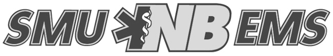NBEMSlogo.jpeg