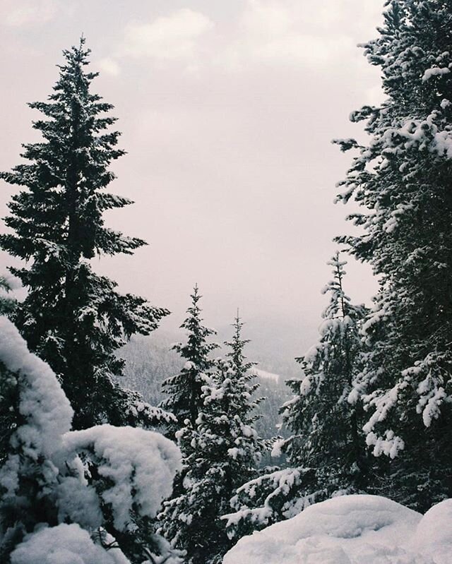 Whistler, shot on 35mm film.

@1oot92 and @janno91 visited from Montr&eacute;al, bringing all the snow to us. 😍

#filmphotography #35mm #fujifilmindustrial #fujifilm #nikonf3 #whistler #canada #britishcolumbia #beautifulbc #beautifulbritishcolumbia 