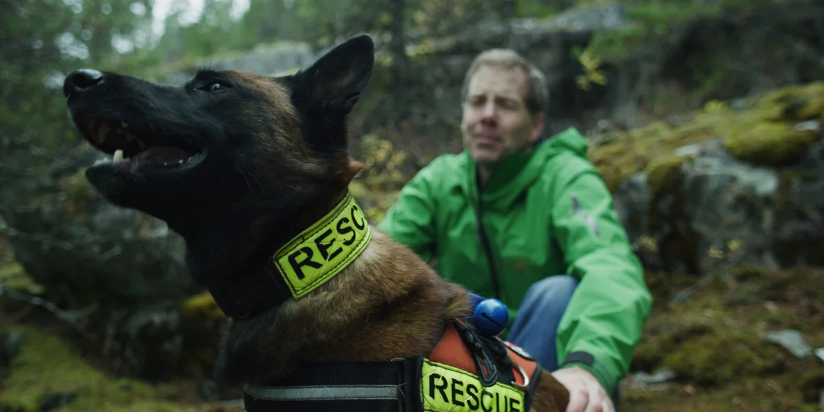 BC Search Dogs-4.jpg