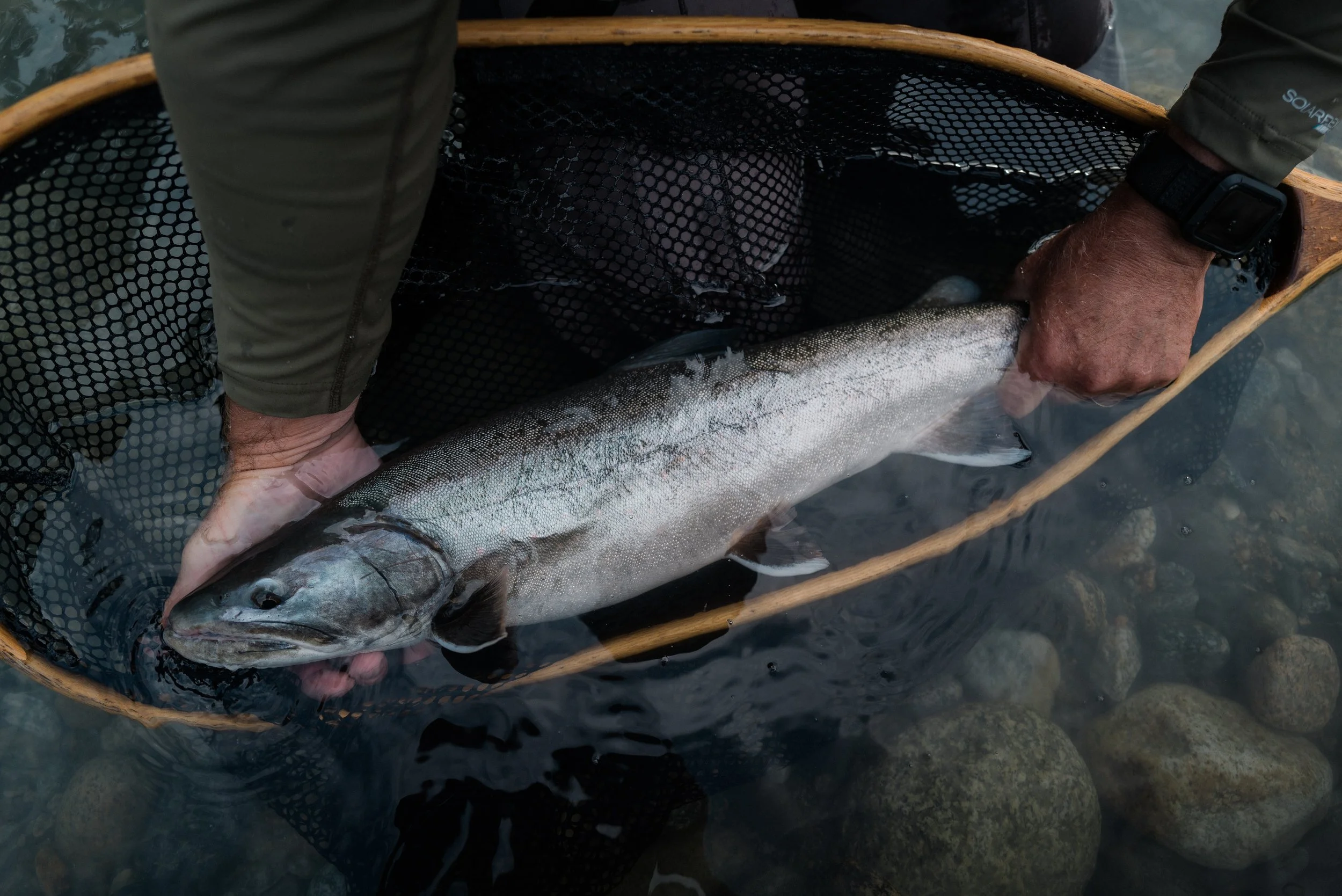 WOLVES OF THE RIVER - SIMMS