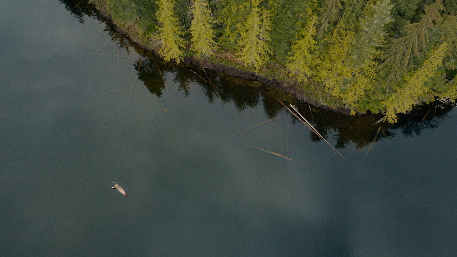 CANOE FINANCIAL - BaD Mktg