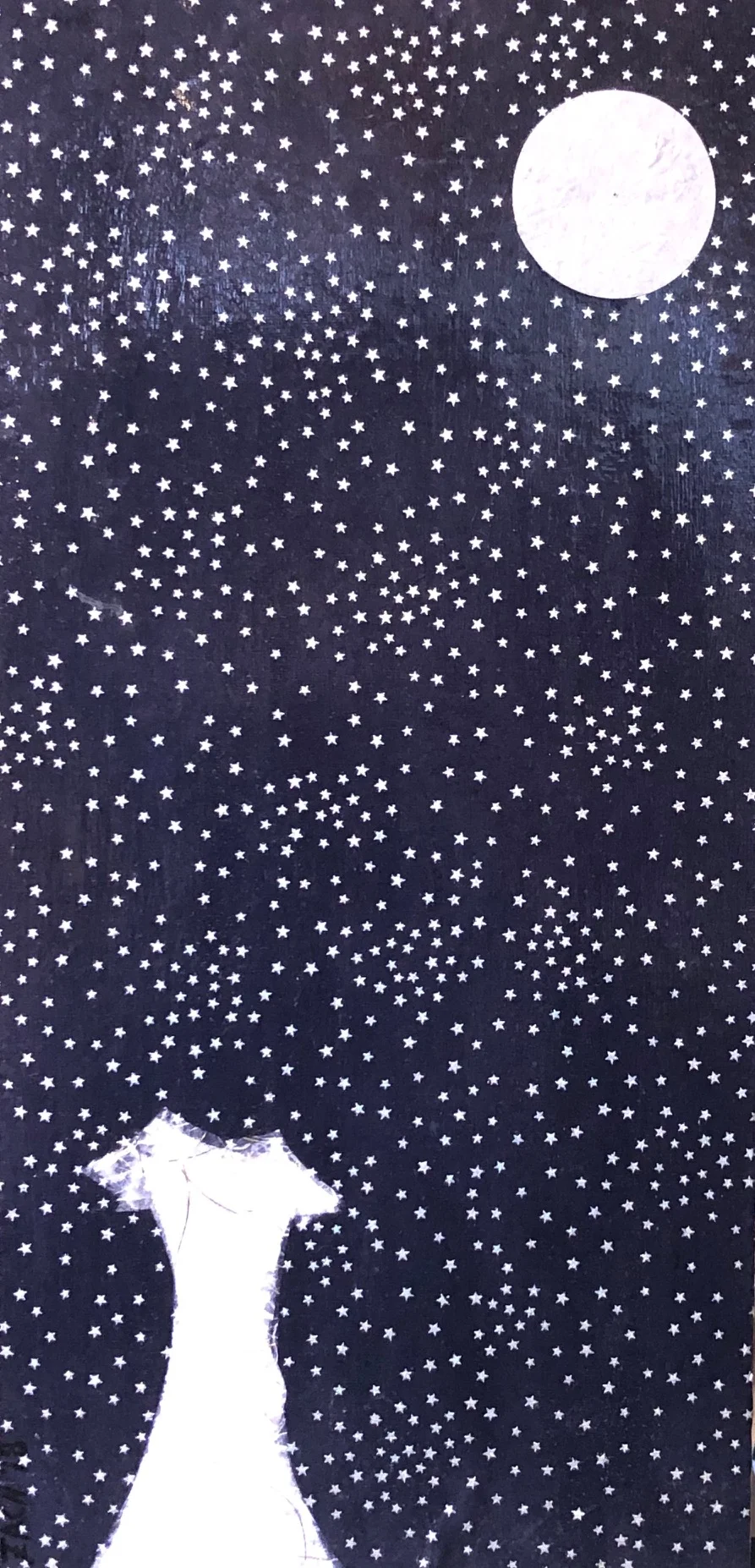 Stars, and a White Dress