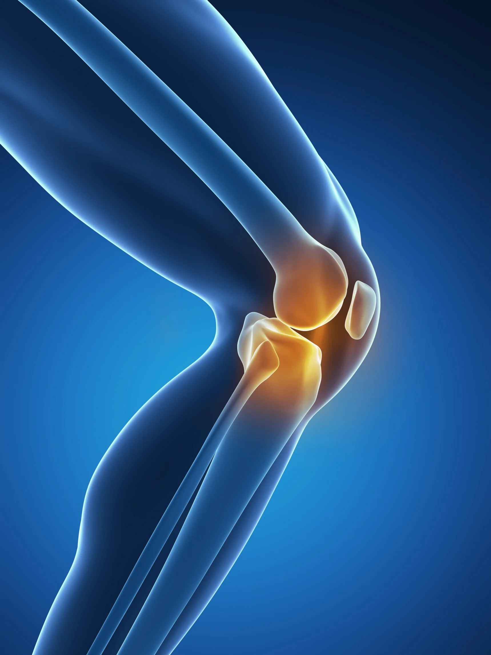 Cartilage Repair