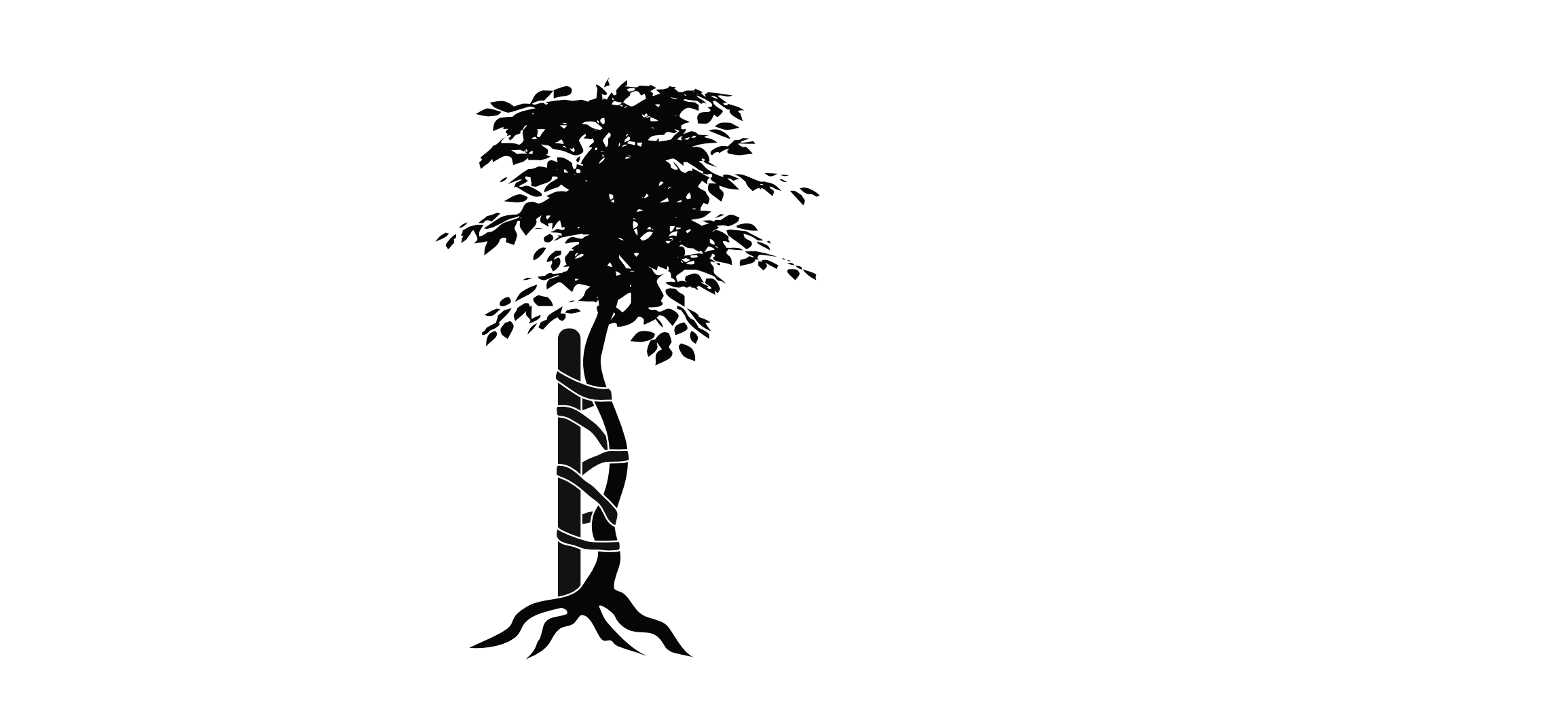 orthopedic background.png