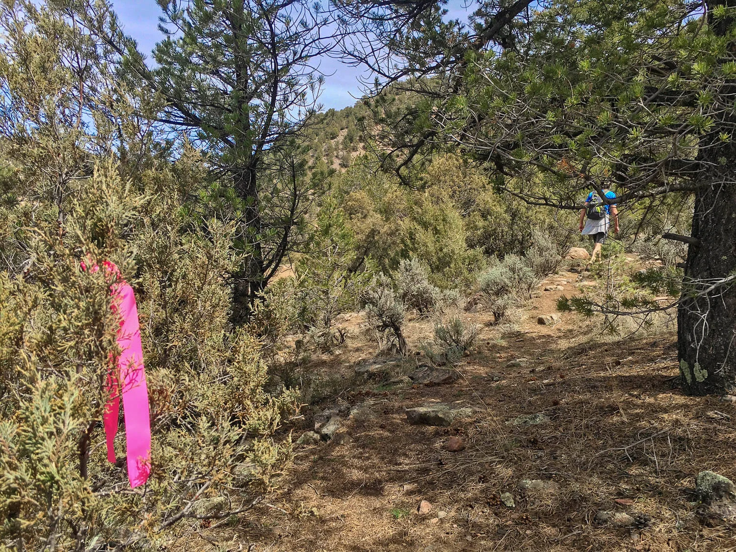 Getting To The Radium Natural Hot Springs In Colorado A Hidden Gem