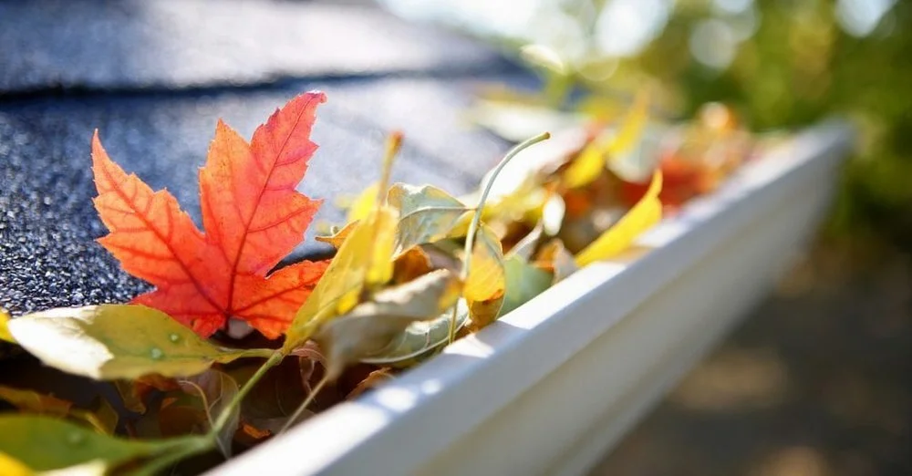 Fall is the perfect time for home and garden clean-up