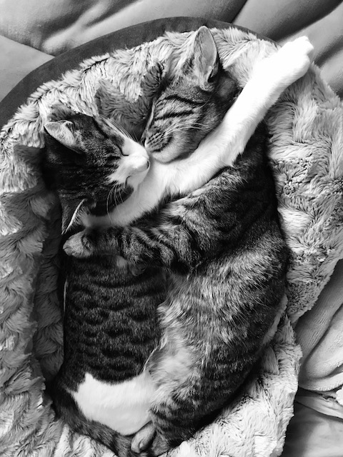 Oona and Stella, adding their sisterly love to the Oak Granary 