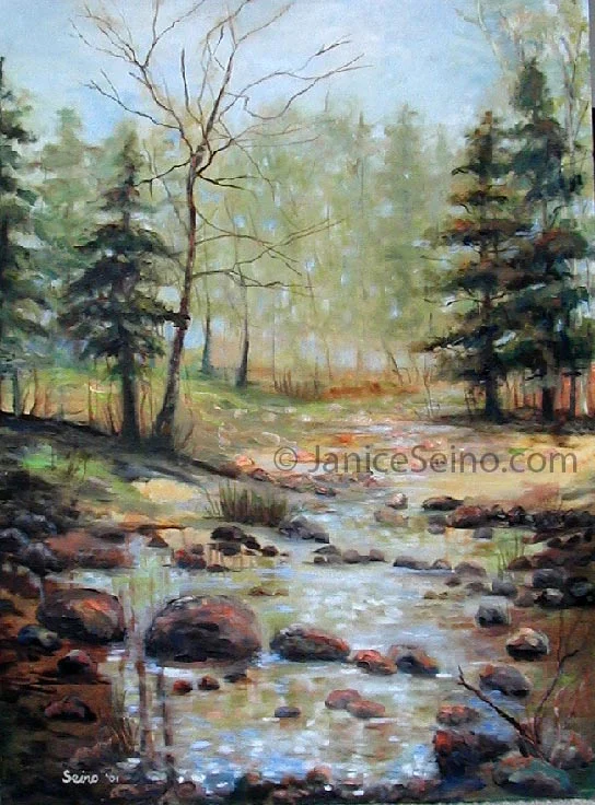 Backwoods River
