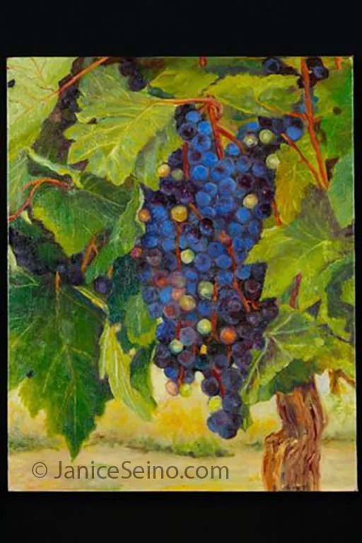 Wine Expectations