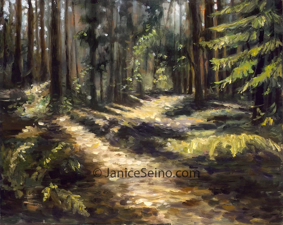 A Walk in the Woods