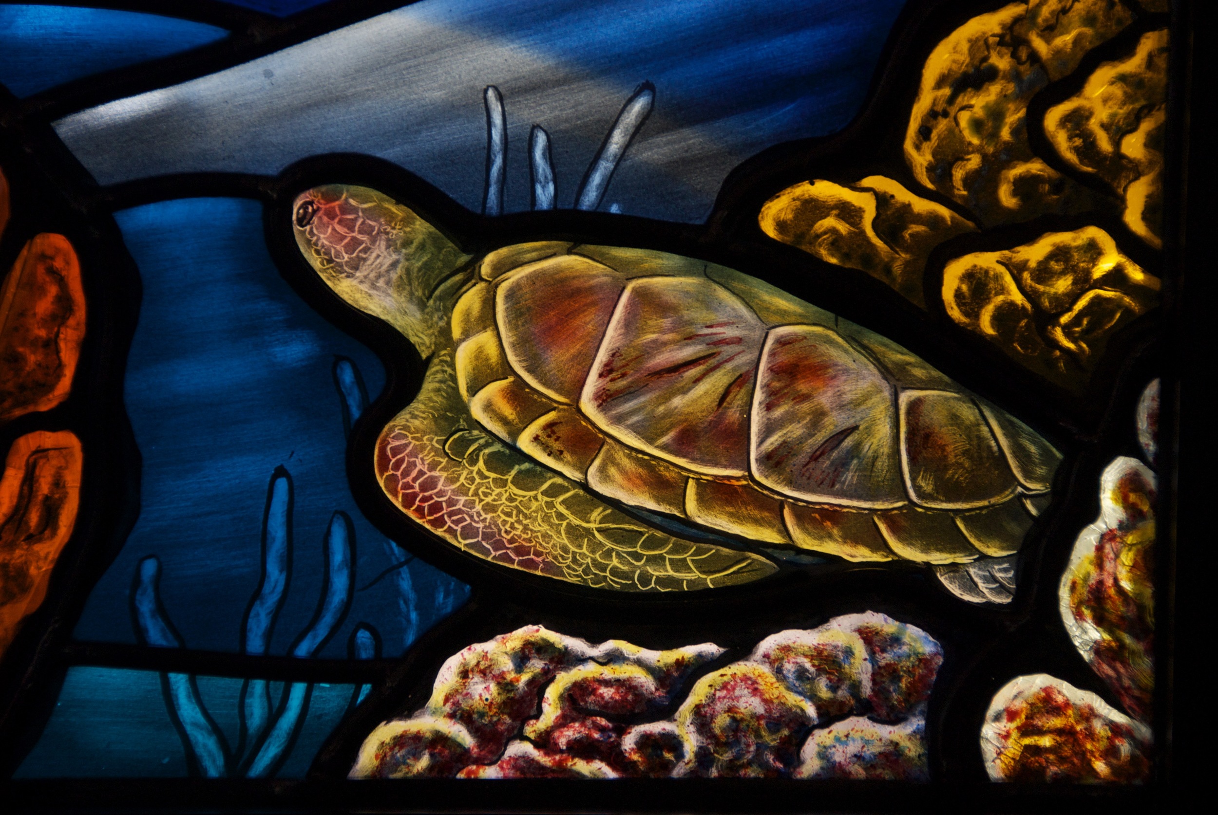 Loggerhead Turtle, painted stained glass.