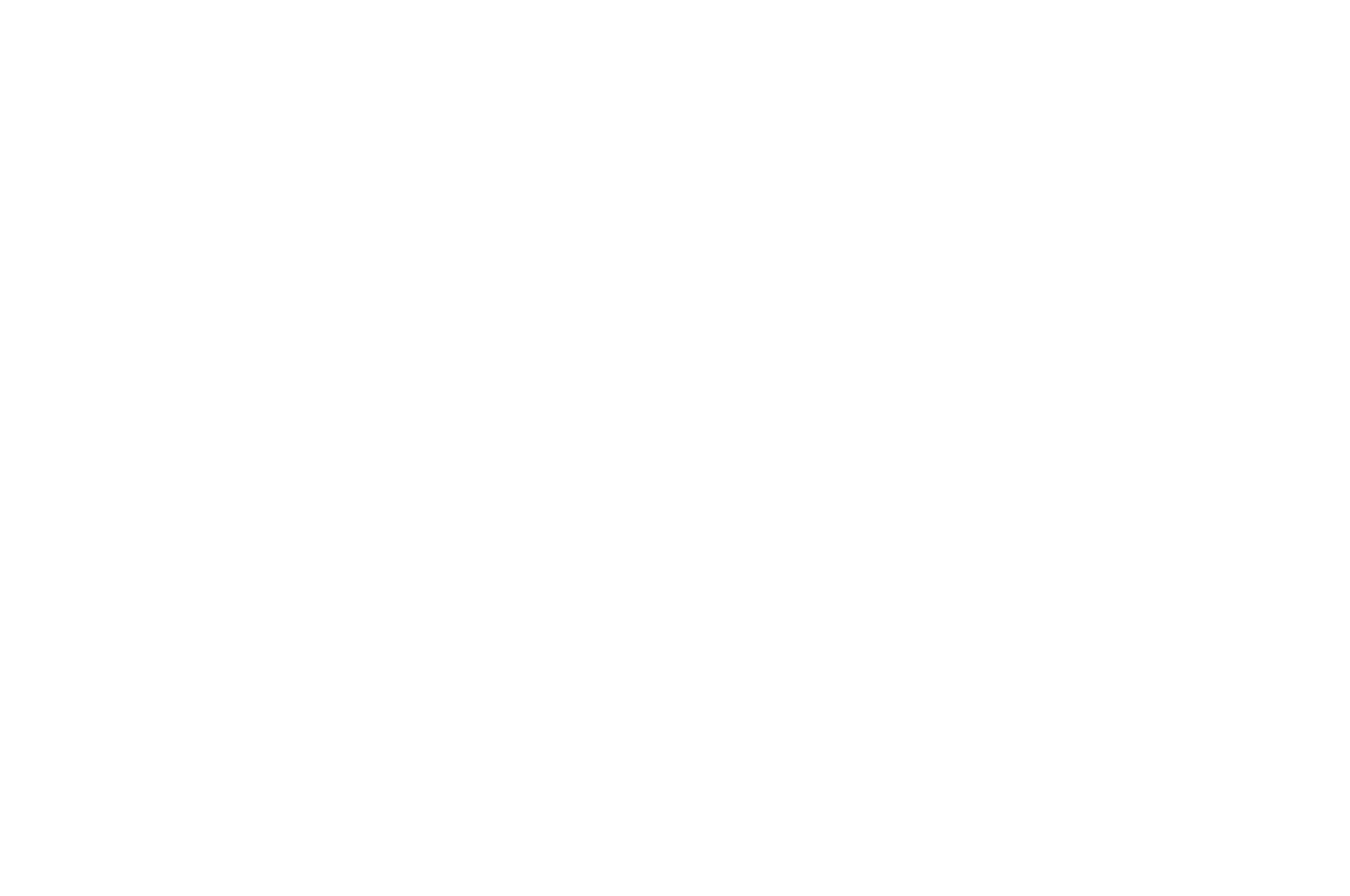 OFFICIAL SELECTION - New Hope Film Festival 2017 - Letting Go.png