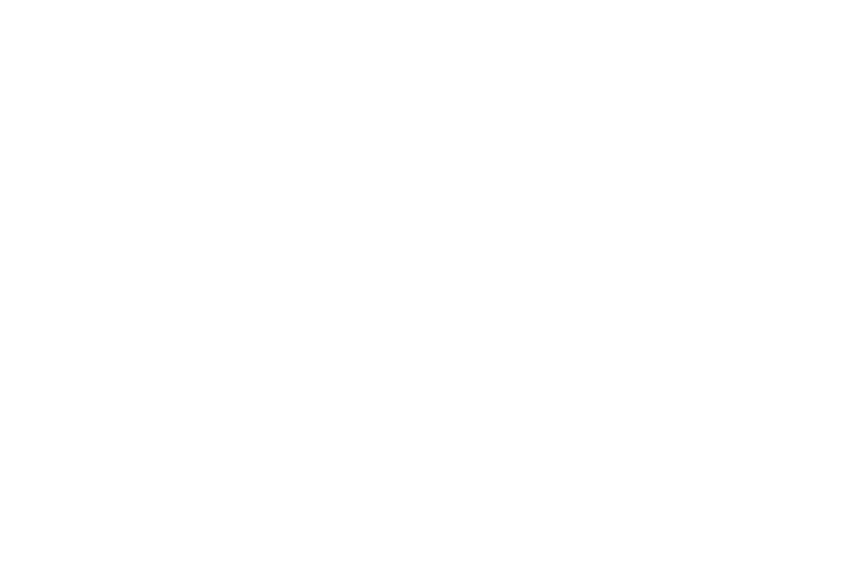 BEST TELEVISION PILOT - Honolulu Film Awards 2017 - Void.png