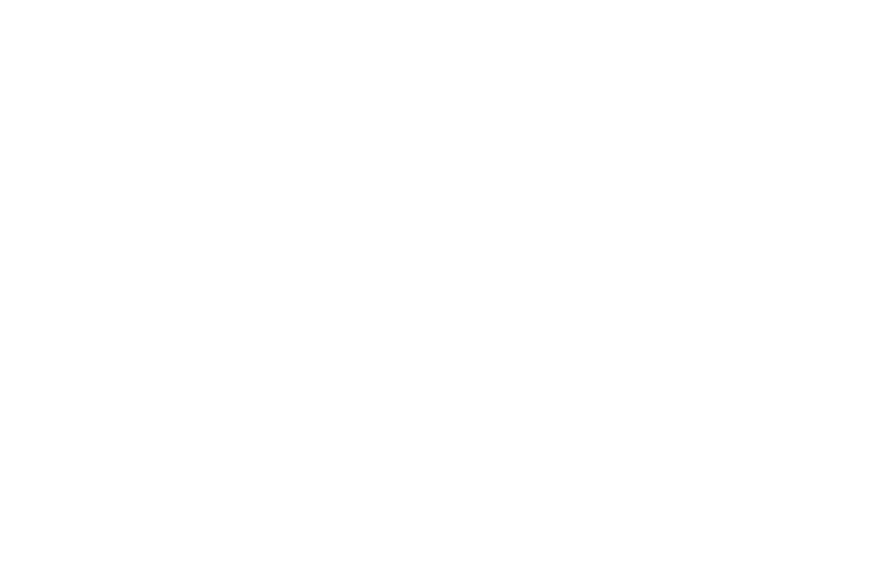 ALOHA ACCOLADE WINNER - Honolulu Film Awards 2017 - Letting Go.png