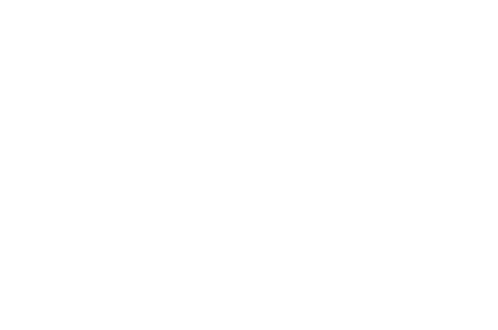 Excellence Web Pilot - Depth of Field International Film Festival 2017 - Void.png