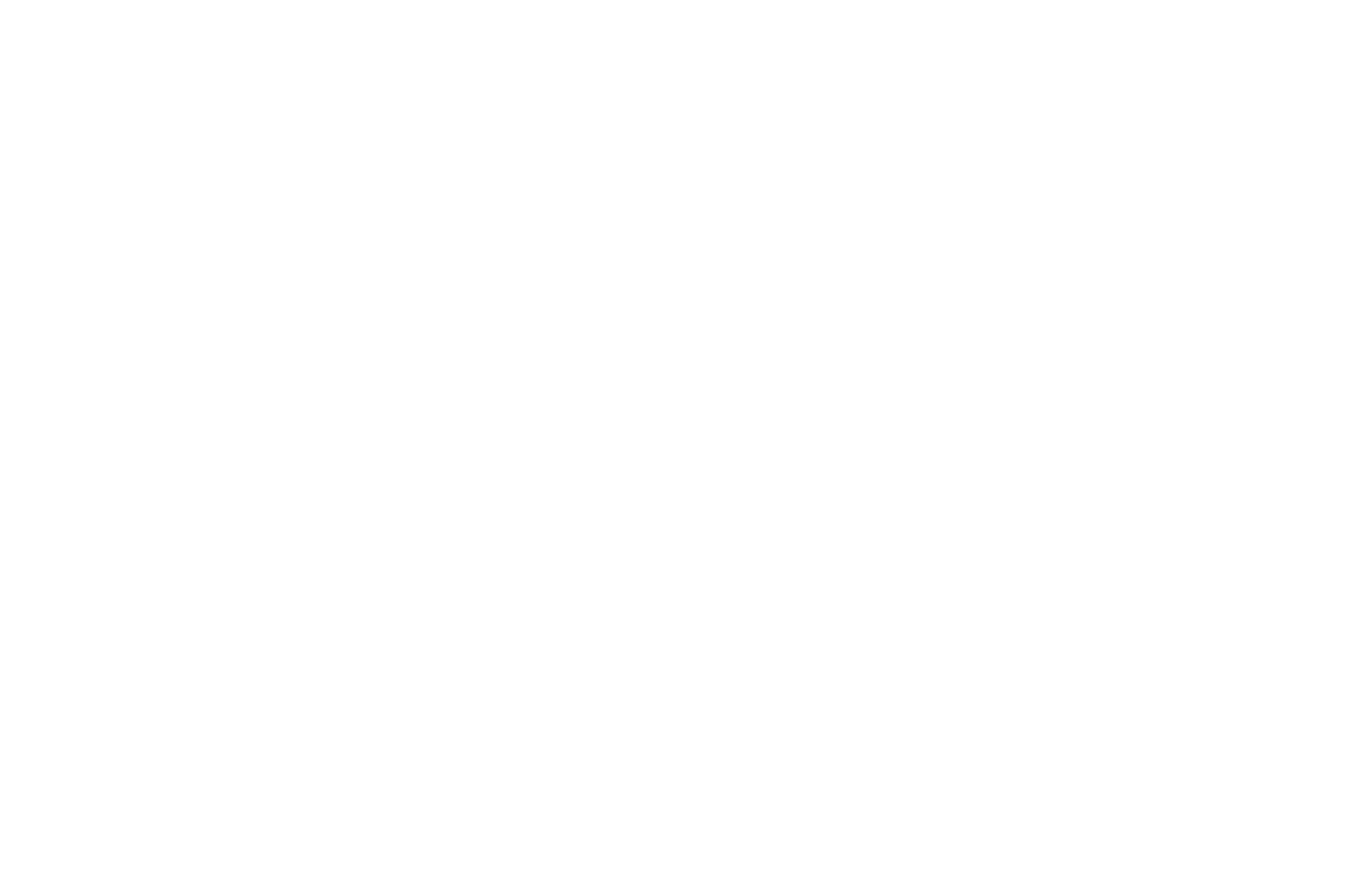 OFFICIAL SELECTION - Webisode Festival - 2018.png