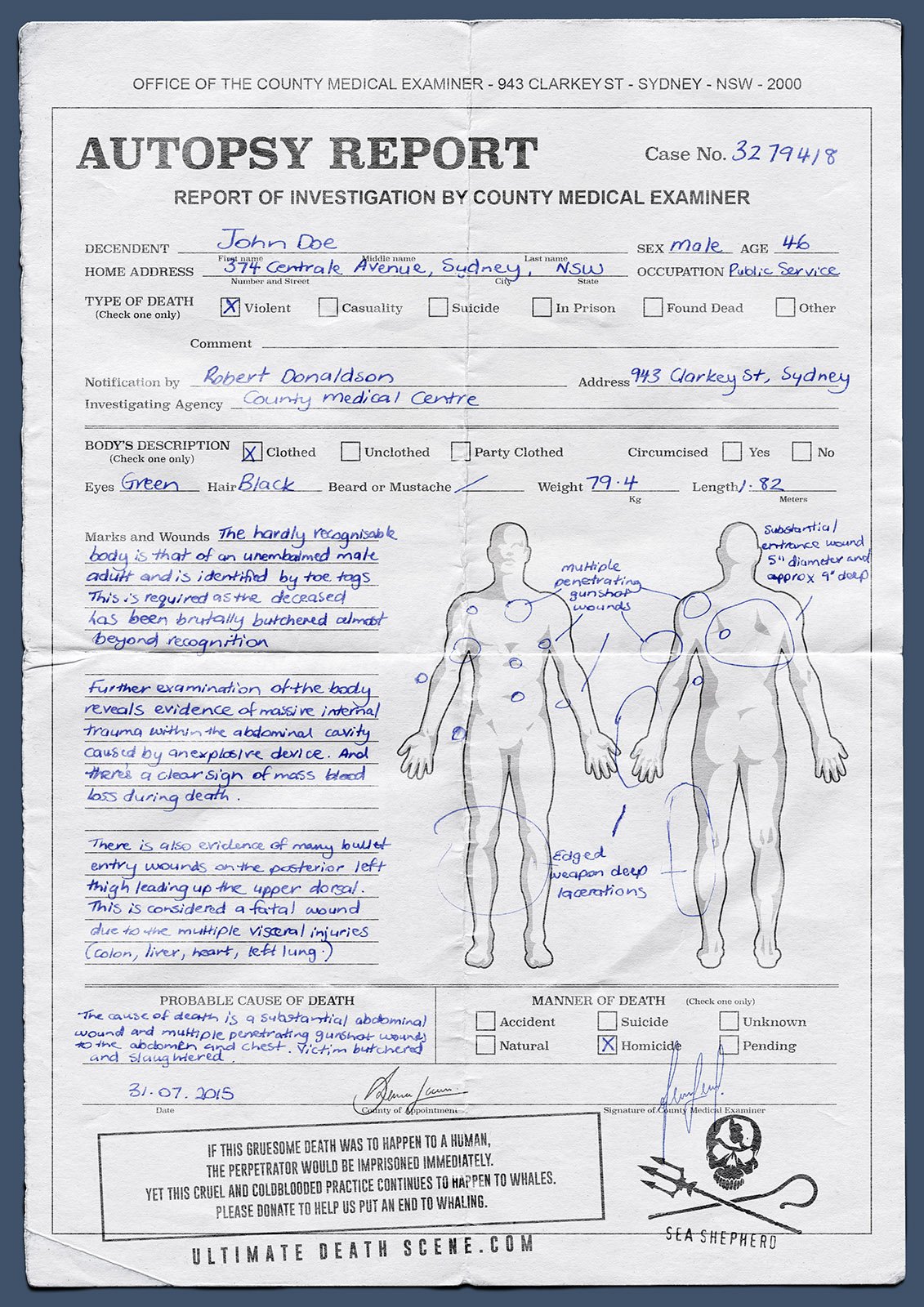 Sea Shepherd Print 1.jpeg