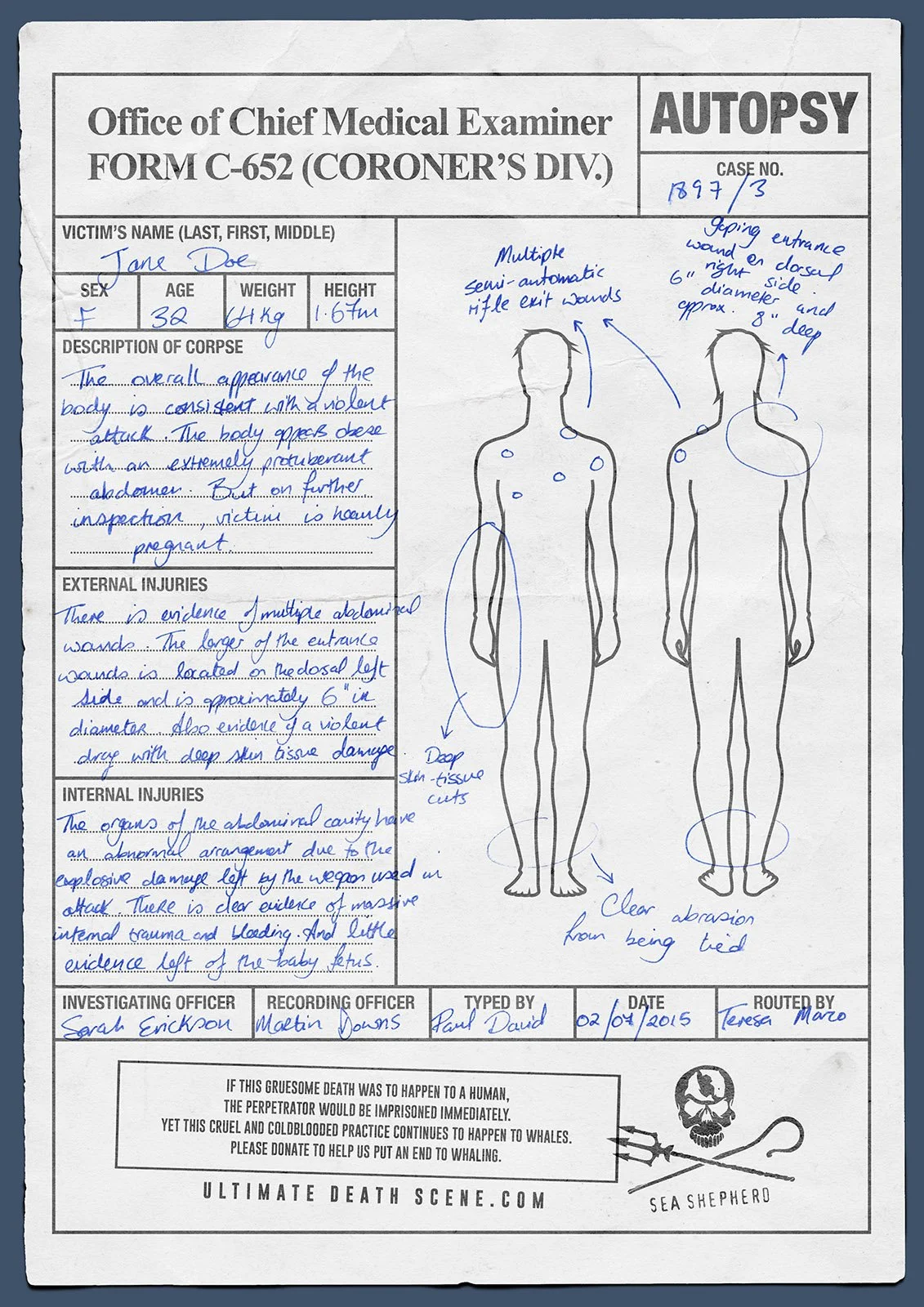 Sea Shepherd Print 2.jpeg