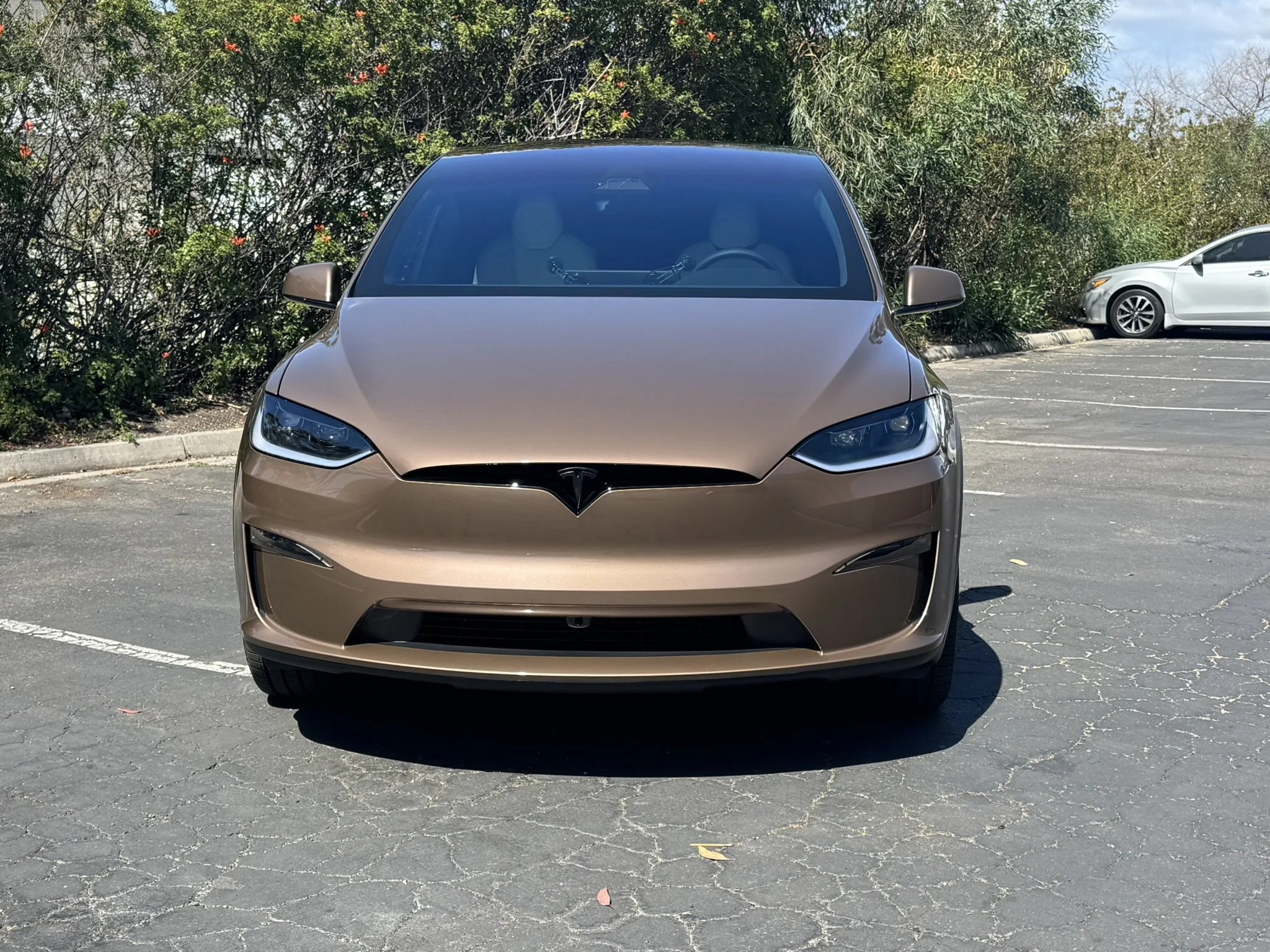 Xpel PPF Model X.JPEG