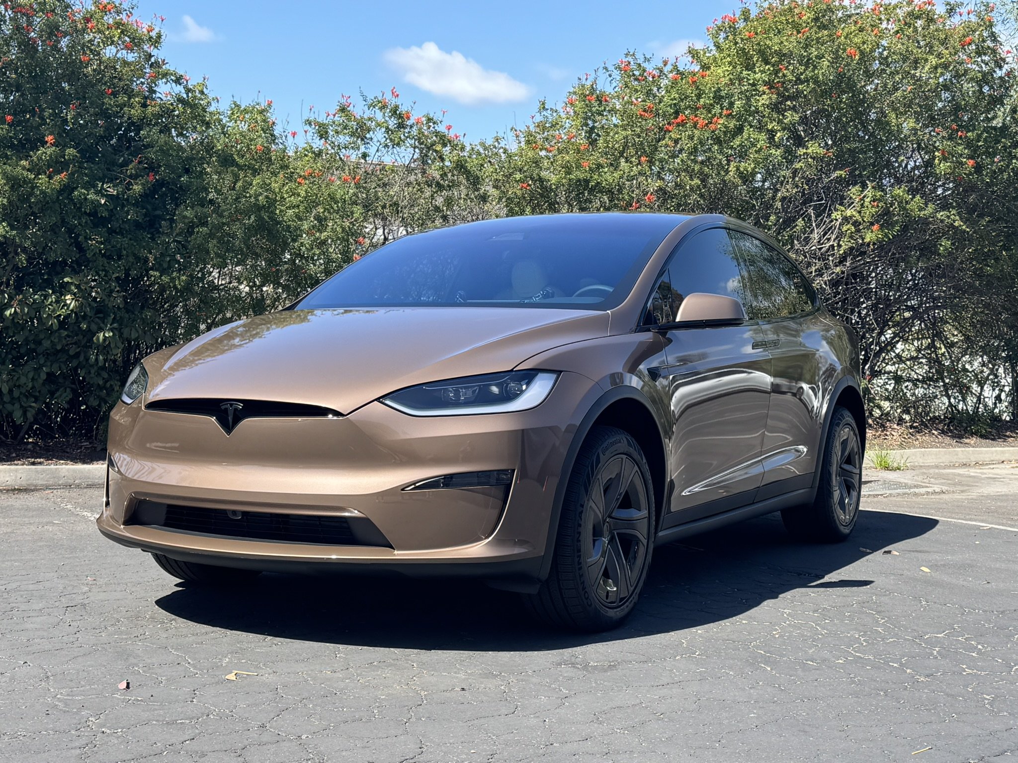 Xpel Tesla Paint Protection Film.JPEG