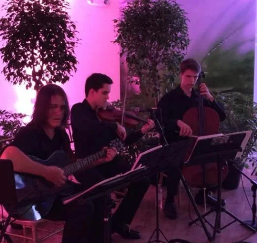 The Edison Strings Duos, trios, quartets with any combination of violin, viola, cello or guitar playing contemporary or classical selections.