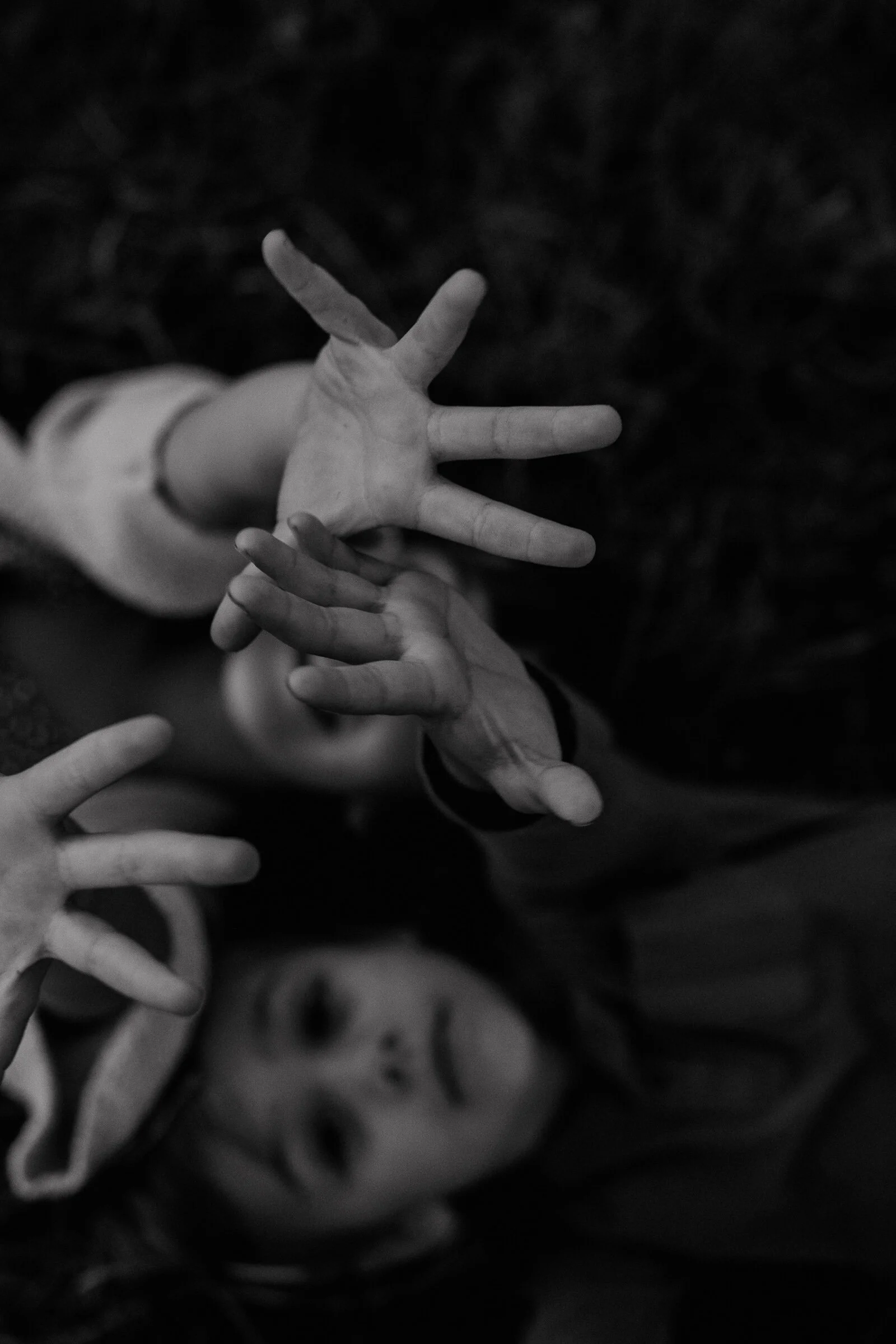JohnsonFamFreckledFoxPhotography-177.jpg